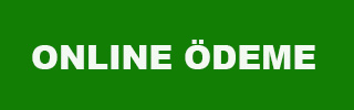 Online Ödeme